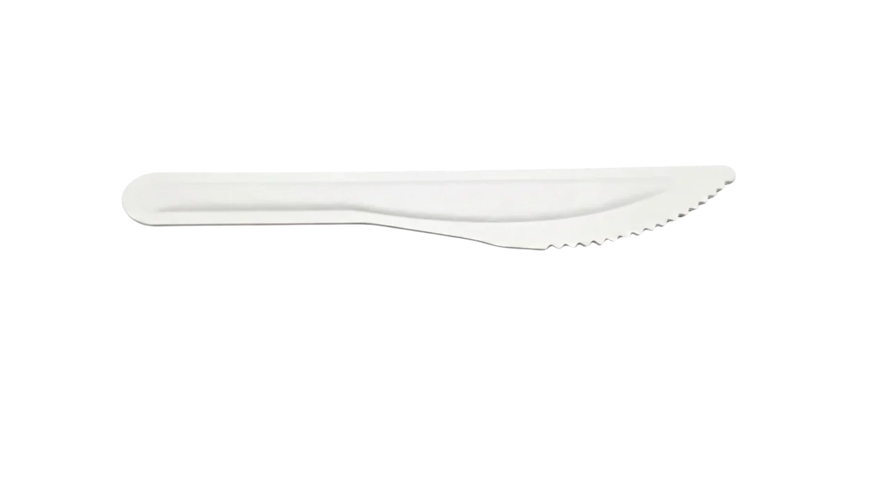 Disposable Cutlery