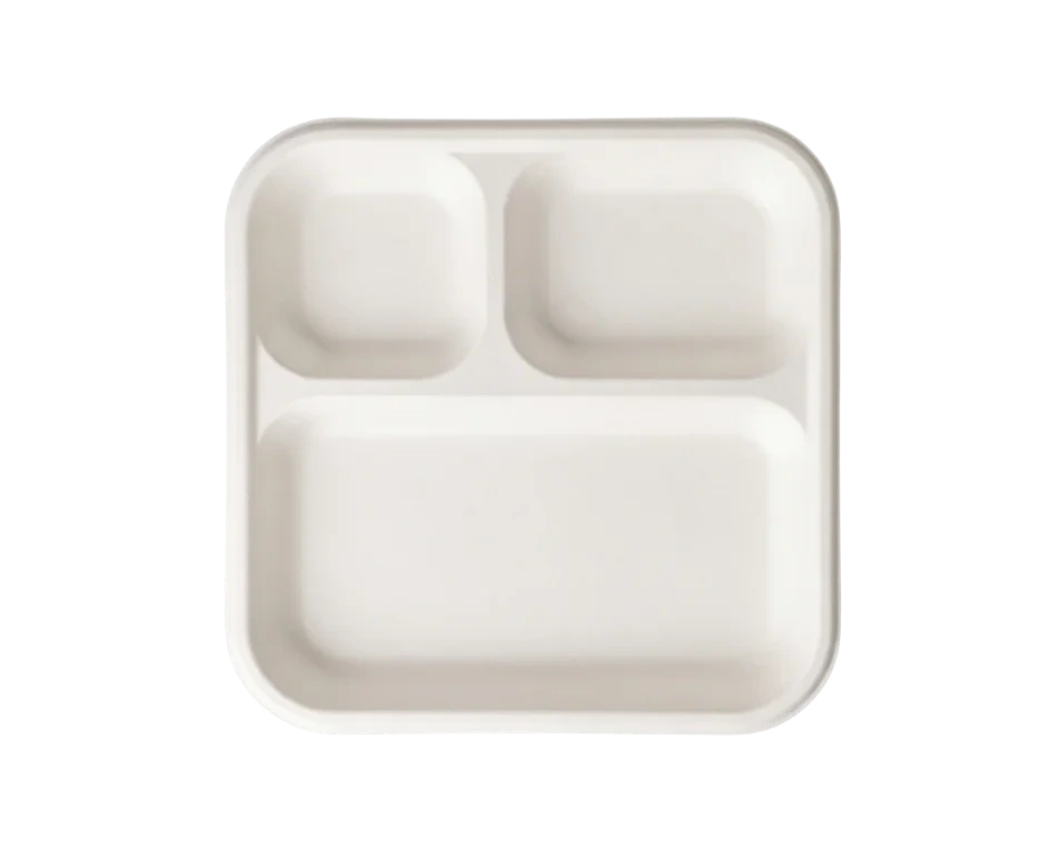 Disposable Plates