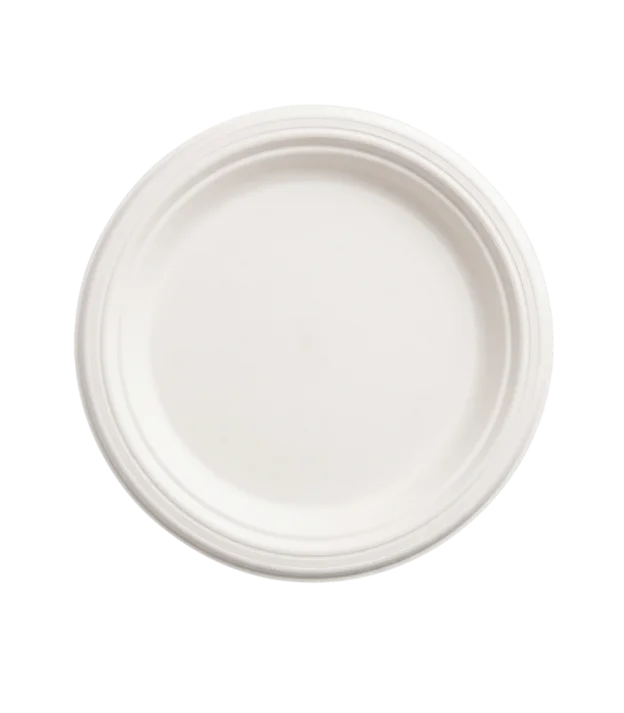 9 Inch Round Plate No Compartments